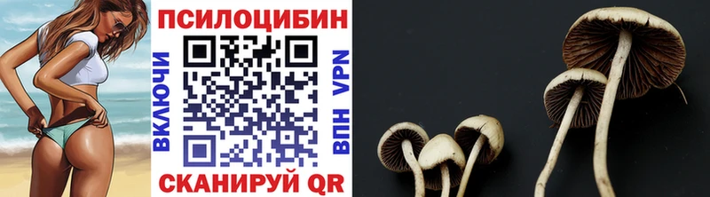 Псилоцибиновые грибы мухоморы Купить Бор